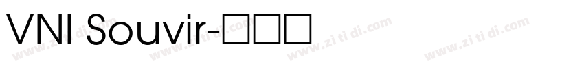 VNI Souvir字体转换